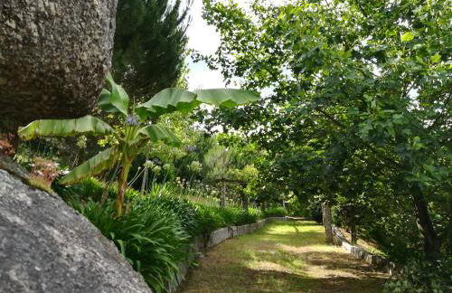 Quinta de S. Vicente 317 - Foto 49