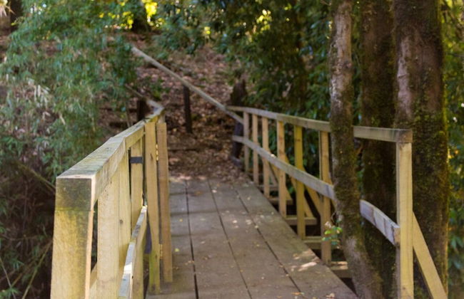 Cabin Chalet Type in Pucon - Photo 15