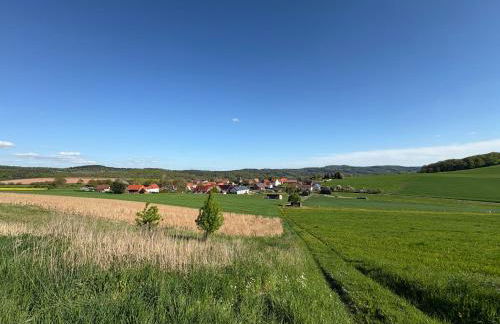 Ferienresort Weidelbach - Foto 28