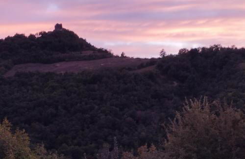 Pietra Corva - Monticello Apartments - Photo 13