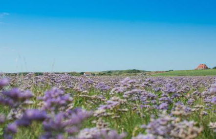 Arche Svea Kiebitz - Foto 17