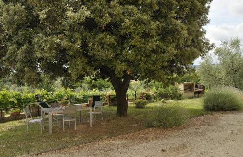 Agriturismo Renai e Monte II - Foto 54