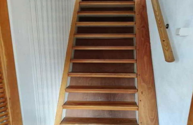 Dike House Near Breskens With Stream Garden - Photo 21