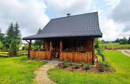 Osada Strusie Jajo w Bieszczadach - Foto 9