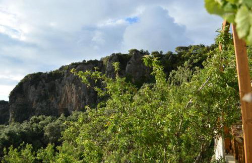 Castelli Olive Press - Foto 32