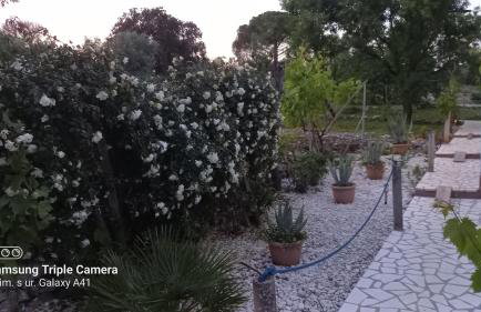 Eco Secluded apartments Zabodarski - Foto 74