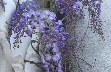 Apartments Petra - Photo 74