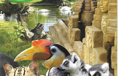 Villa Oasis, Piscina, Jacuzzi, Ténis e Praias! - Foto 51