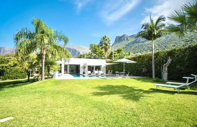 Re di Denari - Foto 2