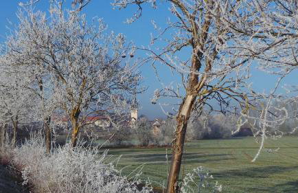 Tauber Sonnen Lodge - Foto 29