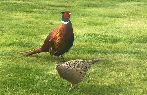 Rural Long Term Accommodation - Foto 53