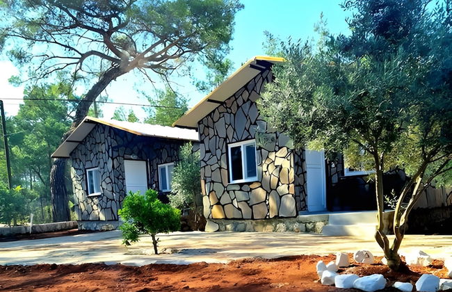 Coconut Apart - Foto 23