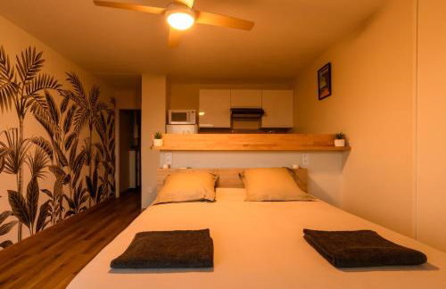 --Aux portes de l'océan-- Première ligne vue imprenable Biscarrosse-Plage - Photo 28