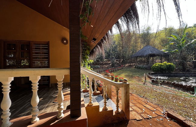 Forest Trails Adventure Resort - Foto 2