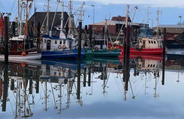 Ferienwohnung HEIN am Nordseedeich - Photo 32