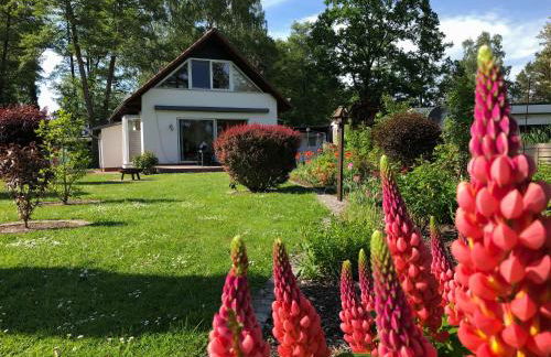 Ferienhaus direkt in Berlin an der Spree mit Whirlpool Sauna - Foto 4