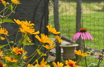 The Tannery House - Foto 36