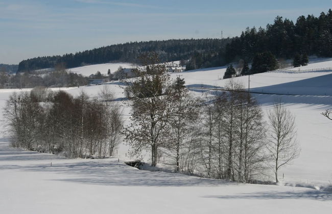 Historisches Ferienhaus im Schwarzwald - Photo 24
