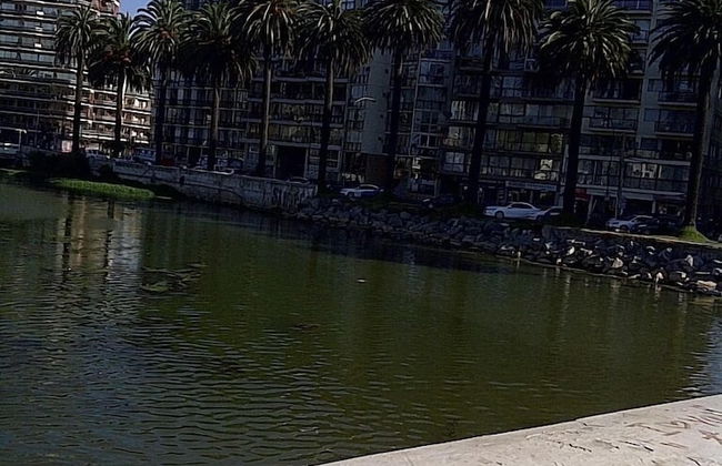 Departamento Rapa Nui - Photo 20