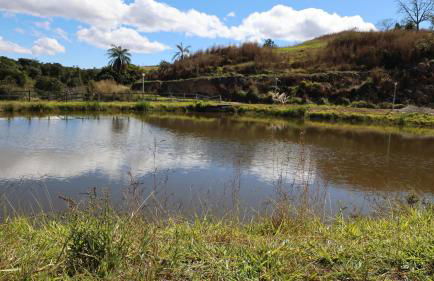 Haras Santa Amalia - Nova União MG - Foto 38