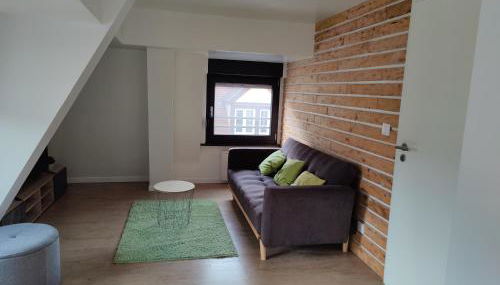 Le Green Duplex moderne en hypercentre - Foto 2