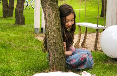 Modra Sikorka - Foto 52