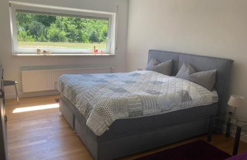 Eifel Relax - Foto 6