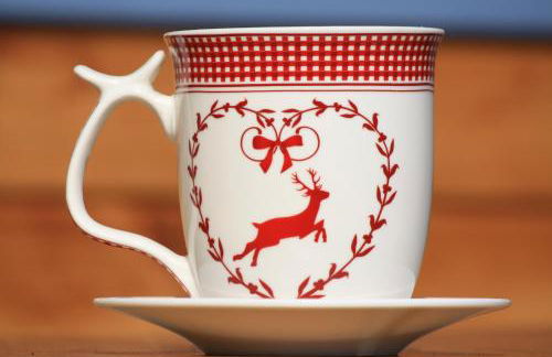 Ferienwohnung Rothirsch - Foto 1