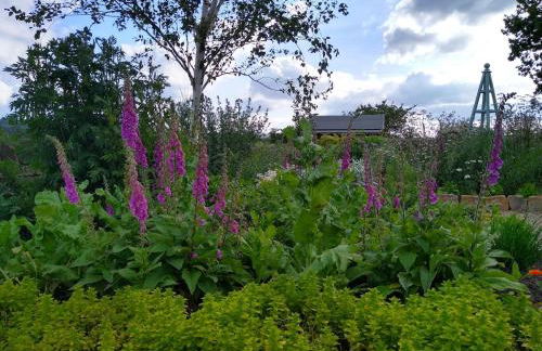 Birch Bothy, peaceful rural retreat - Foto 7