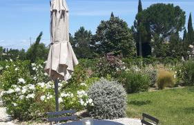 Le Cottage du Chat Blanc - Foto 7