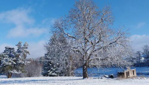 Gîte Sous le marronnier jusqu'à 10 personnes - Foto 2