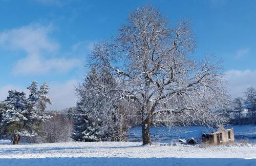 Gîte Sous le marronnier jusqu'à 10 personnes - Foto 2