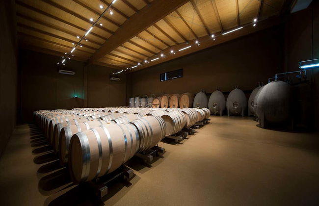 Visita a las bodegas José Pariente - Foto 4