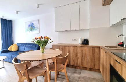 NOOK NOOK Apartments Bytkowska 103 - Foto 13