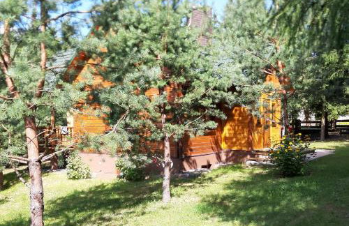 Pod Dębem Bis - Foto 30