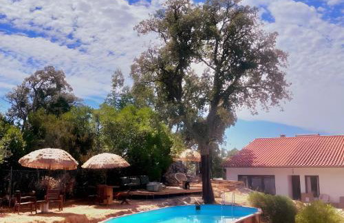 Forest House Oku - Foto 37