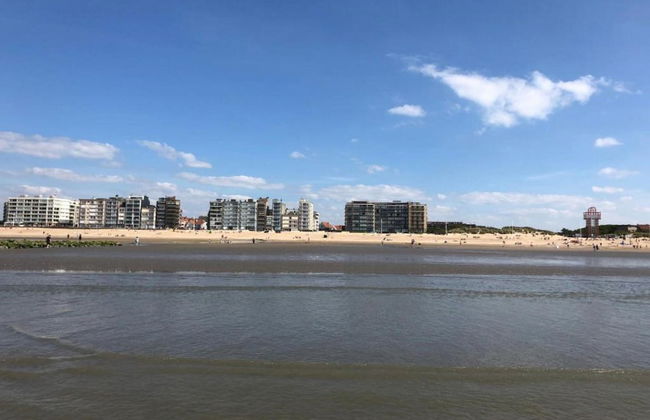 Apartment in Sint-idesbald Near the Beach - Photo 35