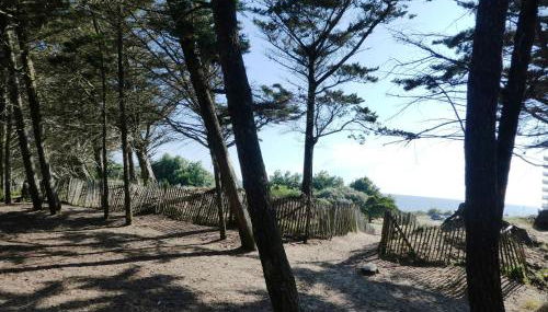 Les Sables superbe T3 cadre unique 7mn à pied de la mer - Foto 3