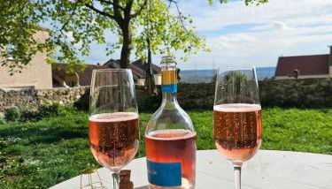 Lodge de la Vigneronne - Foto 4, Garden, Garden view