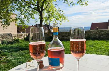 Lodge de la Vigneronne - Foto 4