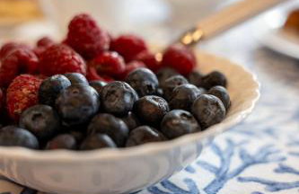 Villino Ca' Bianca, vicino ad Alba, NO ZANZARE, accessibile e con sollevatori aerei - Photo 18