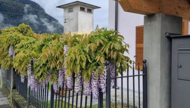 LoSteLaDa sul lago di Como - Foto 1