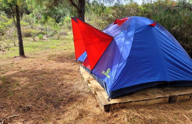 Glamping Paraiso de Tausa - Photo 25