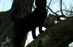 Ferienhof Bisdorf "Windmühle" - Foto 6