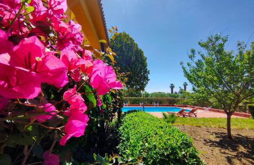 Villa degli ulivi - Foto 14