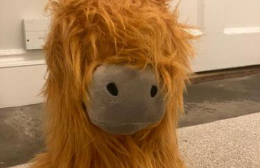 Spacious Apartment in Central Edinburgh - Foto 8