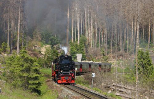 Komfort-Ferienwohnung am Paradies 66 A - Foto 23