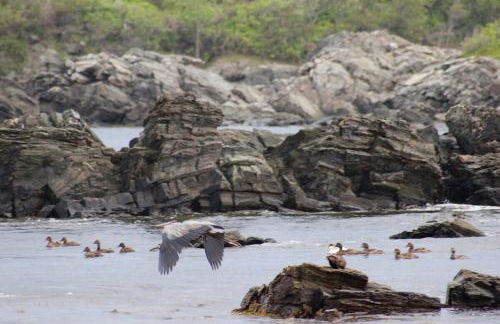 Modern Cottage with Peeks of Ocean Views - Foto 46