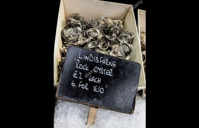 The Orchard House - Foto 19