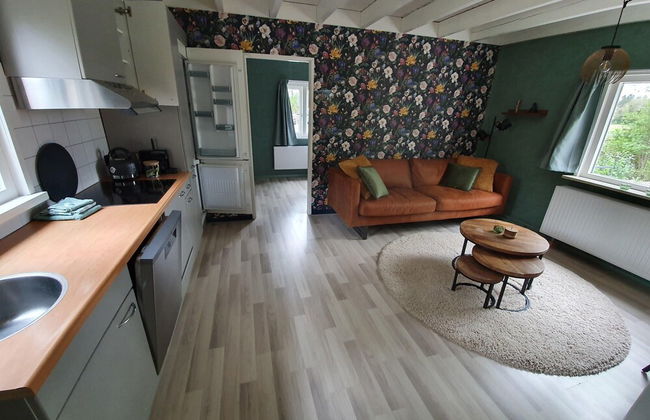 Holiday Home in Schoonloo With Balcony/terrace - Foto 66